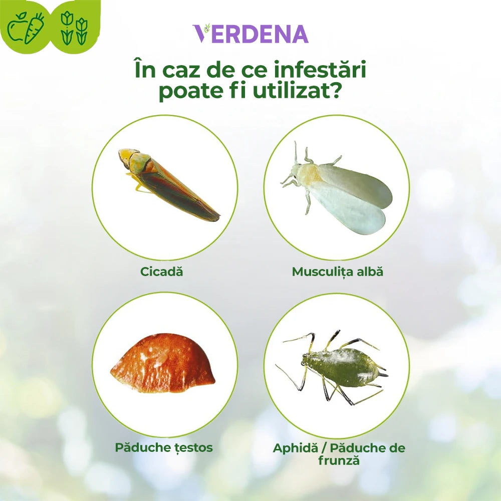 Spray Fungicid Contra Bolilor Fungice la Trandafiri si Plante Ornamentale, 400 ml, PROTECT GARDEN