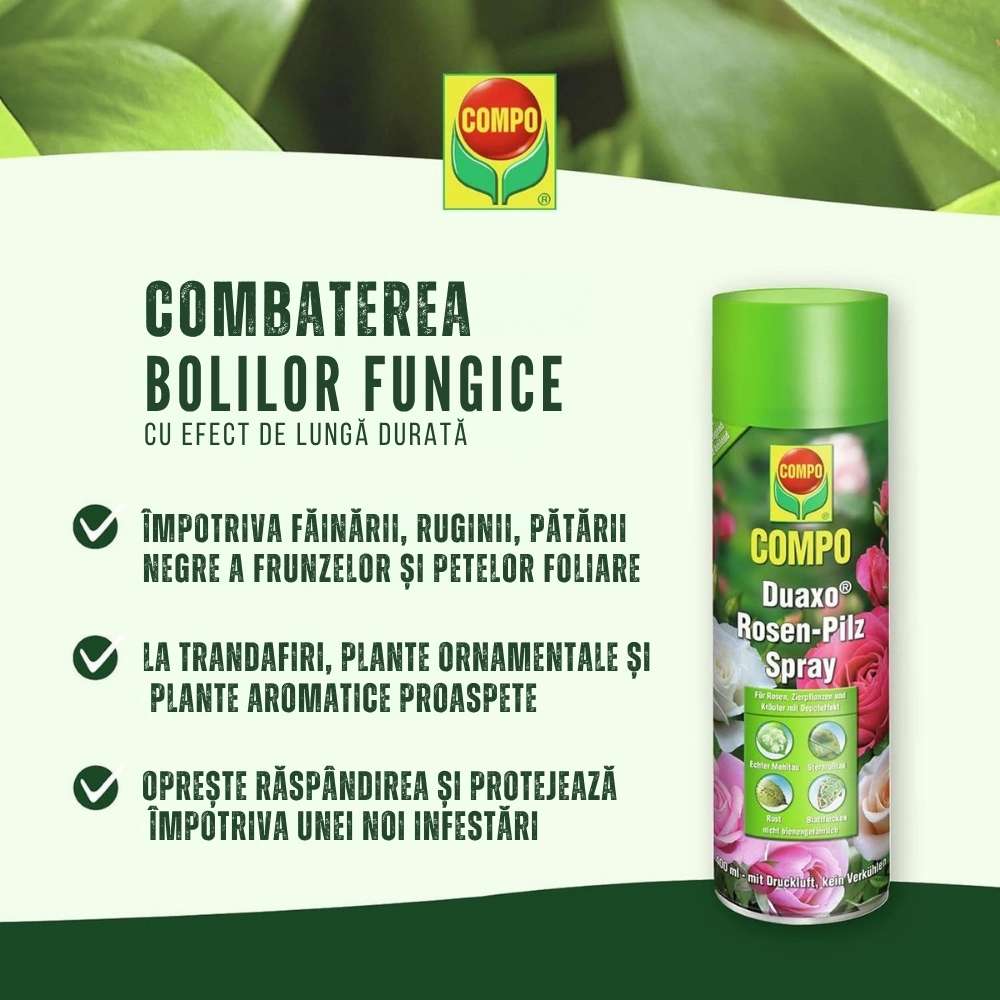 Spray Fungicid Duaxo pentru Trandafiri si Plante Ornamentale Compo, preventiv pentru boli fungice, 400 ml