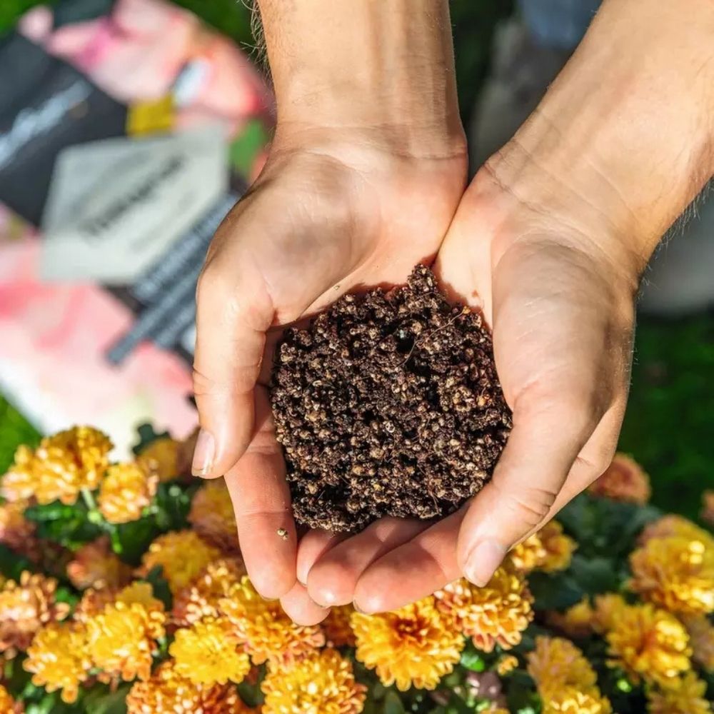 Substrat Mineral LECHUZA Terrapon 6 l, pentru plante de exterior, 100% fara turba, cu ingrediente naturale