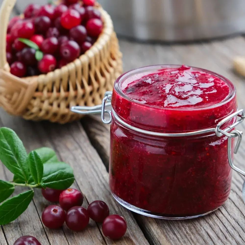 Afin american rosu (Vaccinium macrocarpon Pilgrim), merisor cu fructe mari rosii acrisor, an 1 pe rod