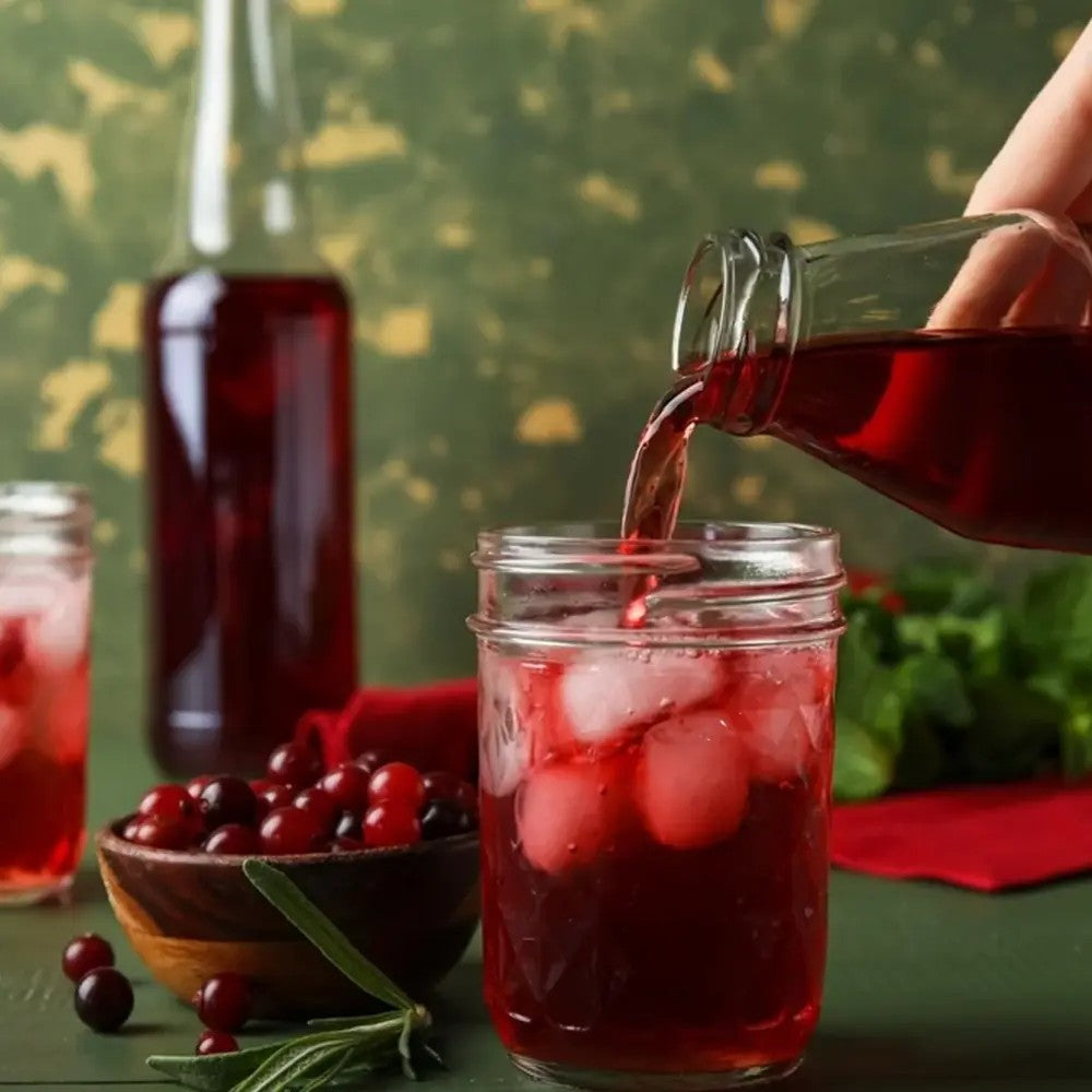 Afin american rosu (Vaccinium macrocarpon Pilgrim), merisor cu fructe mari rosii acrisor, an 1 pe rod