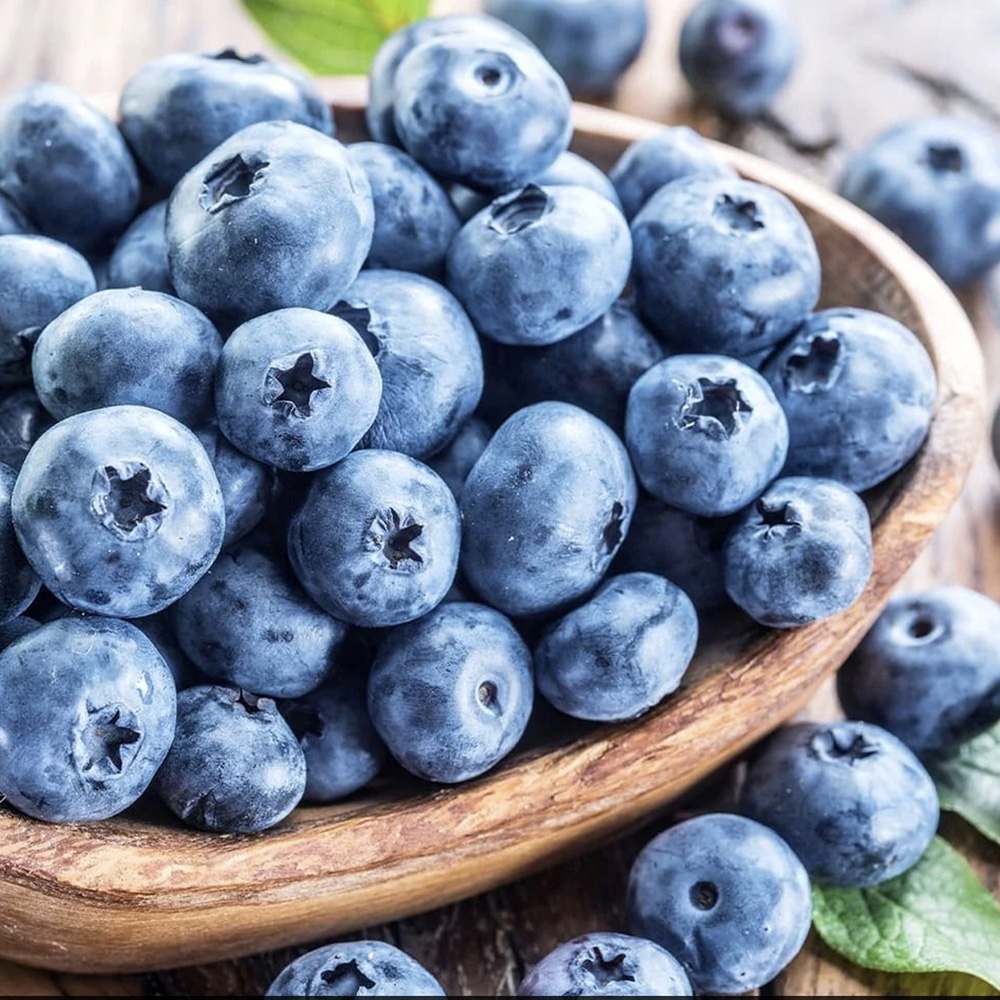 Afin Brigitta Blue (Vaccinium corymbosum), cu fructe dulci-acrisoare