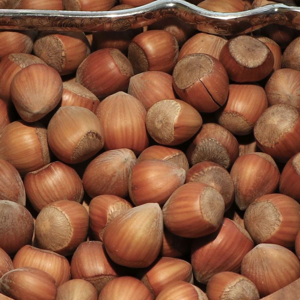 Alun Cosford (Corylus avellana), cu gust dulce-nucos