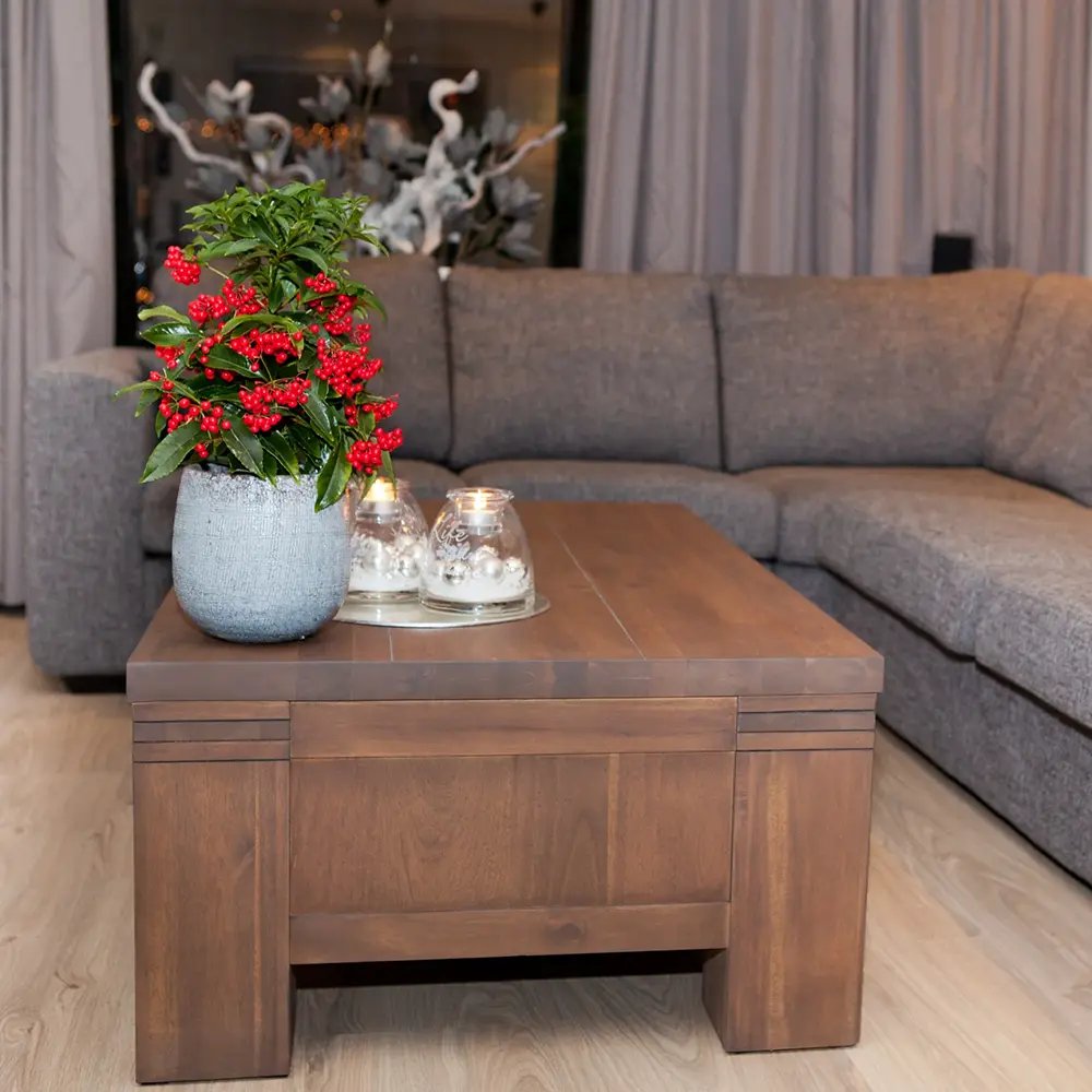 Ardisia Boss Rosie, planta decorativa cu fructe rosii stralucitoare, eleganta si usor de ingrijit pentru interior - 40cm