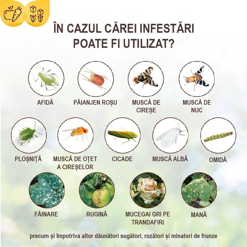 Bariera Antidaunatori, 400g, SOLABIOL