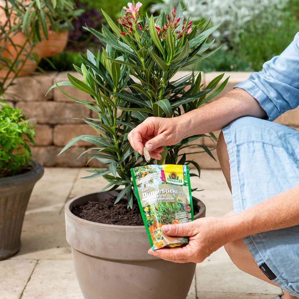 Batoane de Ingrasamant Azet pentru Plante Citrice si Mediteraneene, 40 buc, cu Efect Imediat si de Lunga Durata, Neudorff