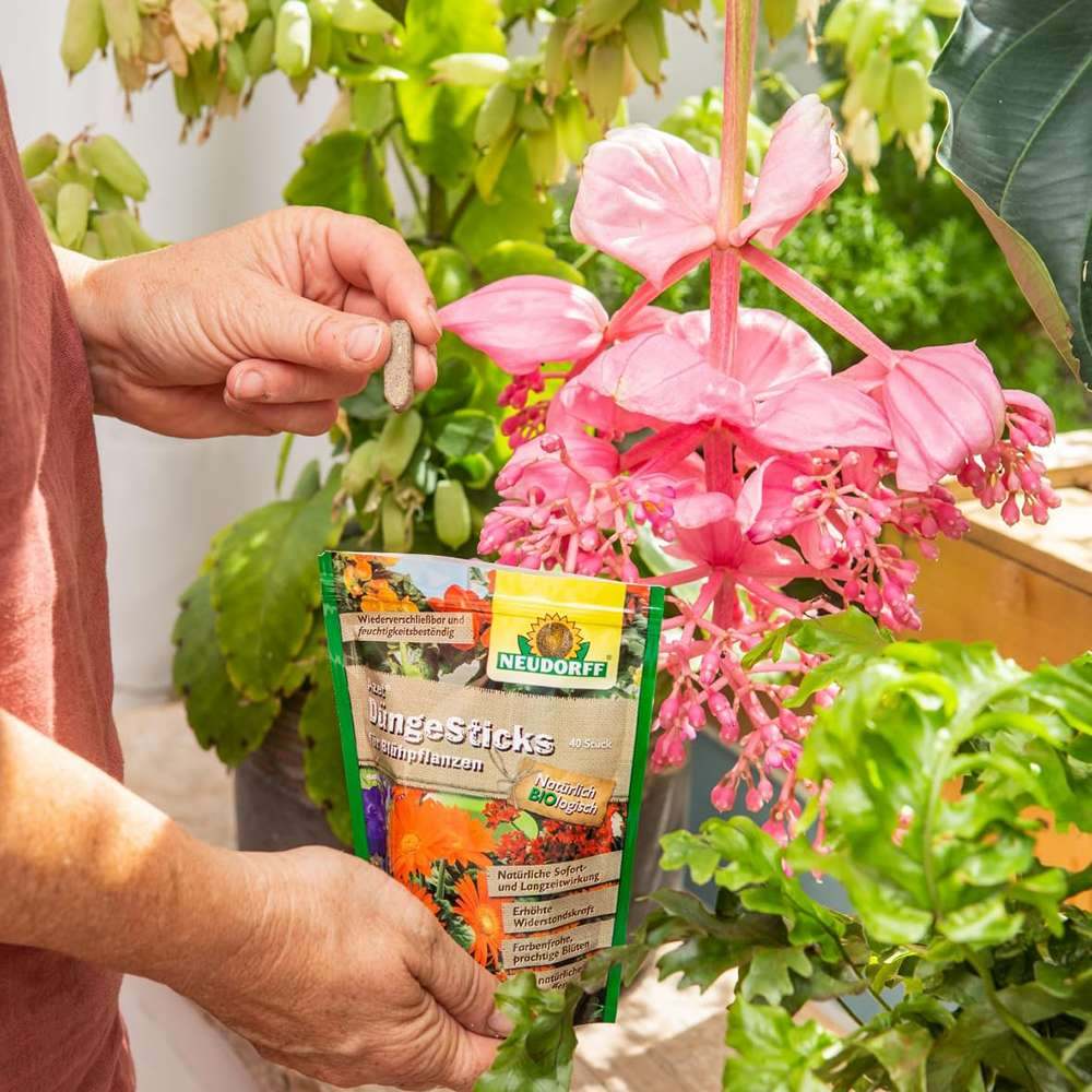 Batoane de Ingrasamant Azet pentru Plante Citrice si Mediteraneene, 40 buc, cu Efect Imediat si de Lunga Durata, Neudorff