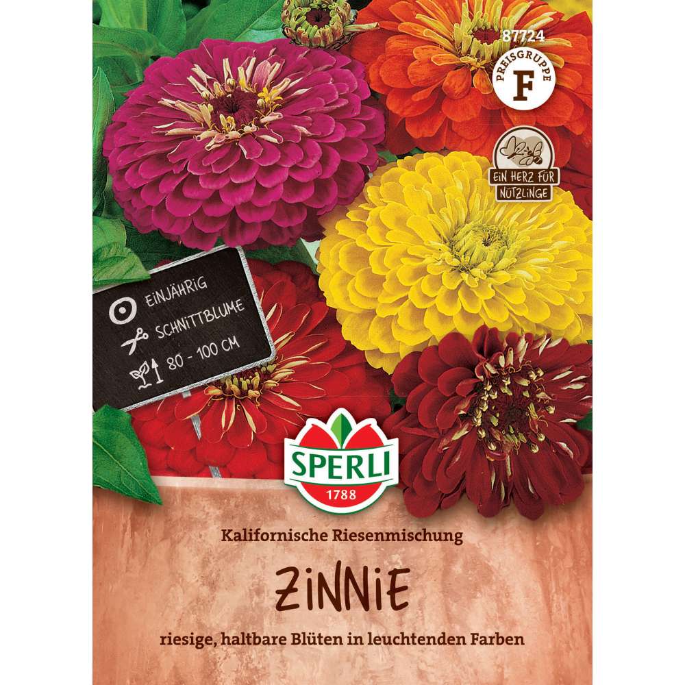 Seminte Zinnia gigant California – flori mari si durabile pentru borduri