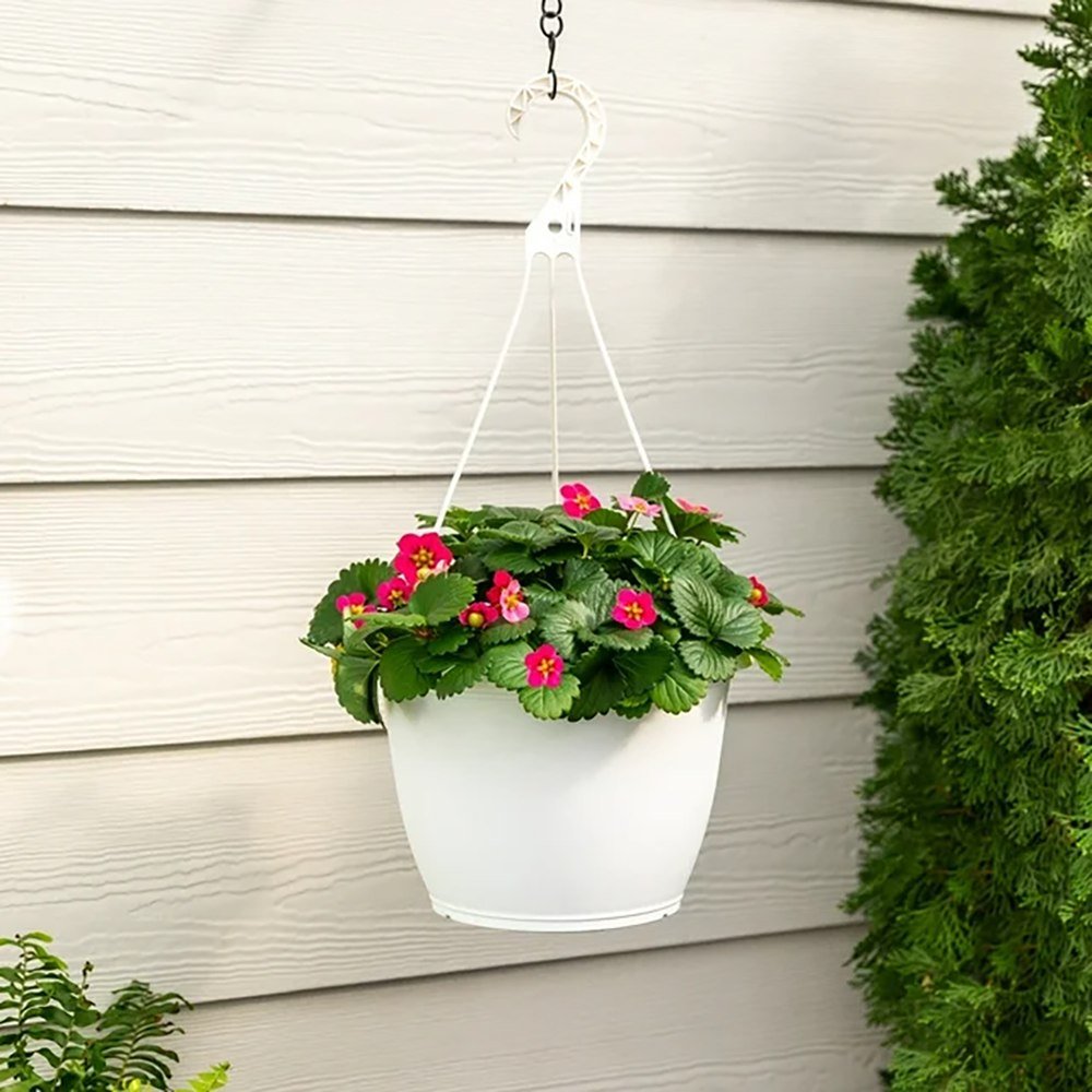 Capsun Mara Des Bois, cu fructe dulci