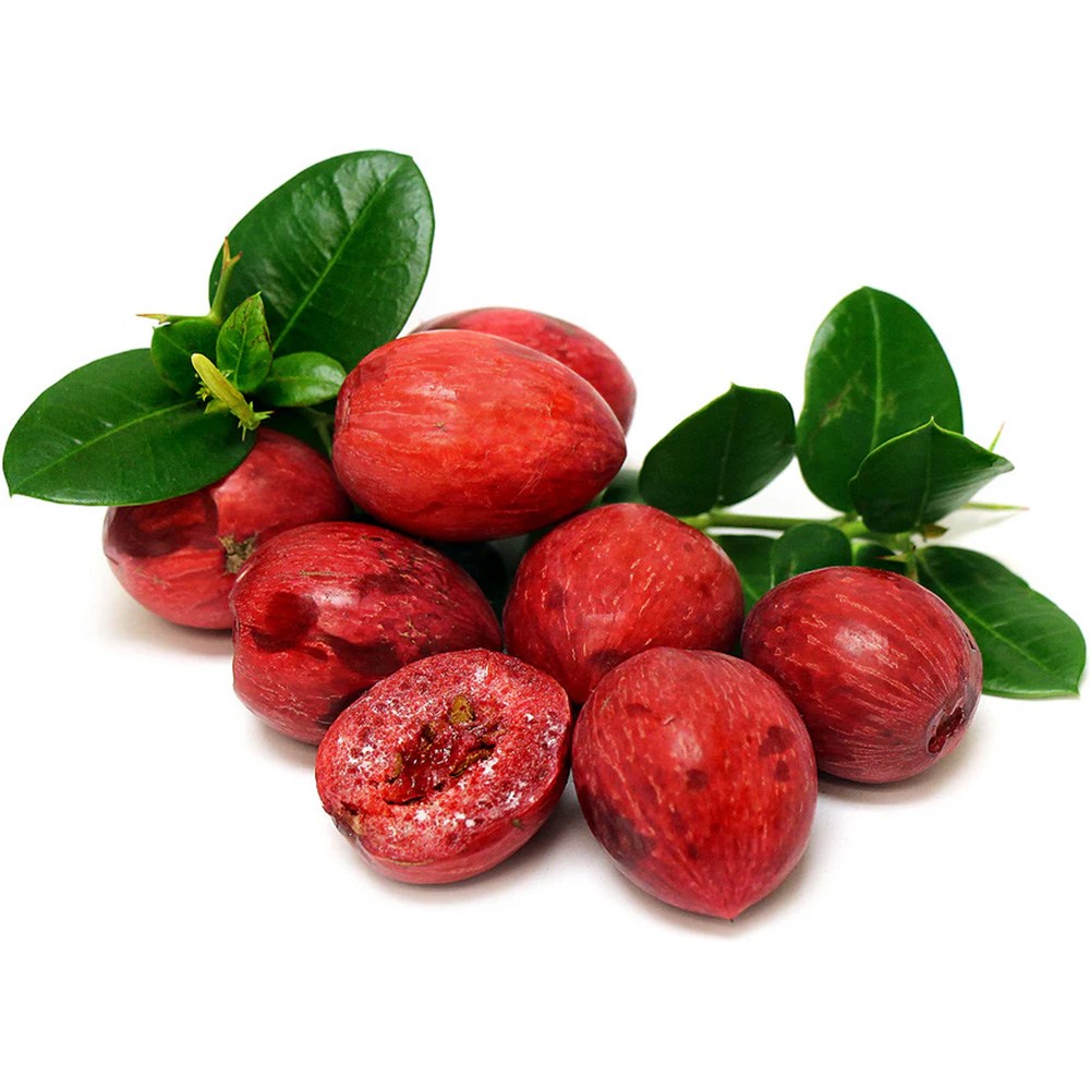 Pom Fructifer Carissa, planta in ghiveci cu fructe rosii dulci-acrisoare ideale pentru deserturi si gustari