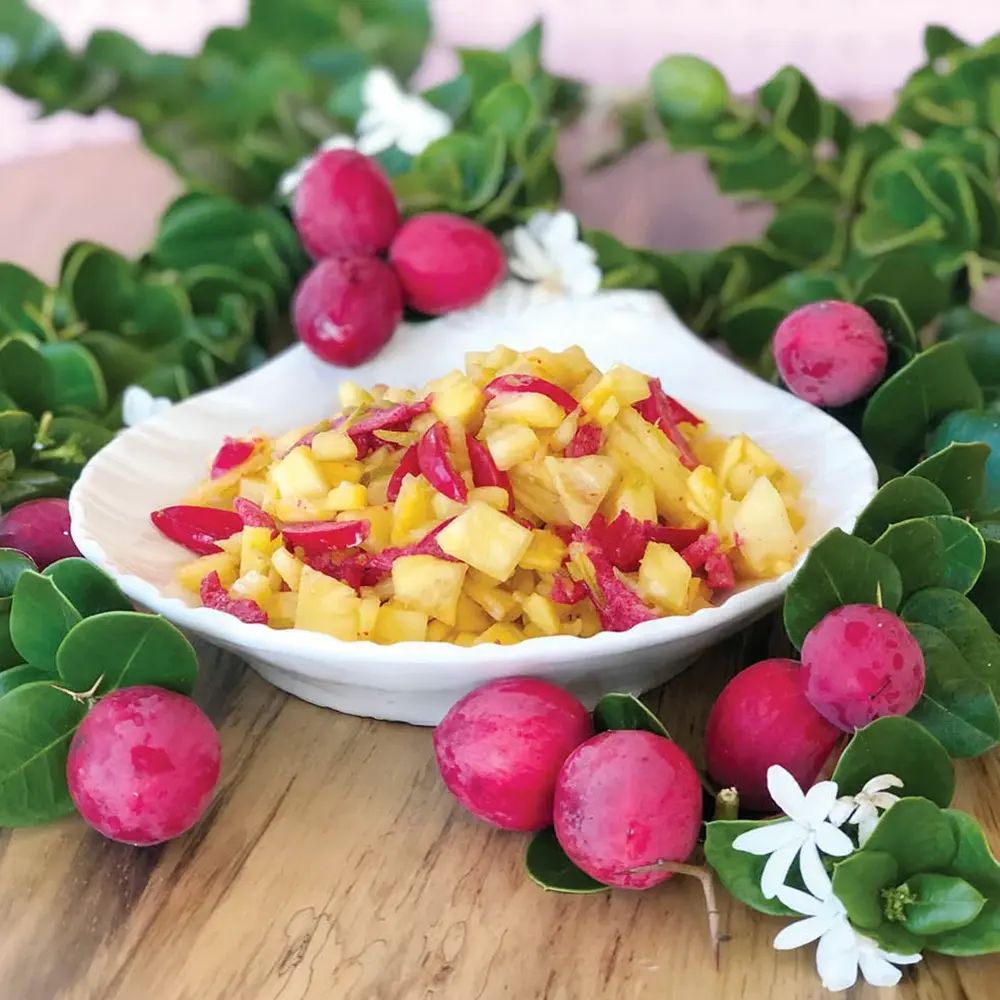 Pom Fructifer Carissa, planta in ghiveci cu fructe rosii dulci-acrisoare ideale pentru deserturi si gustari