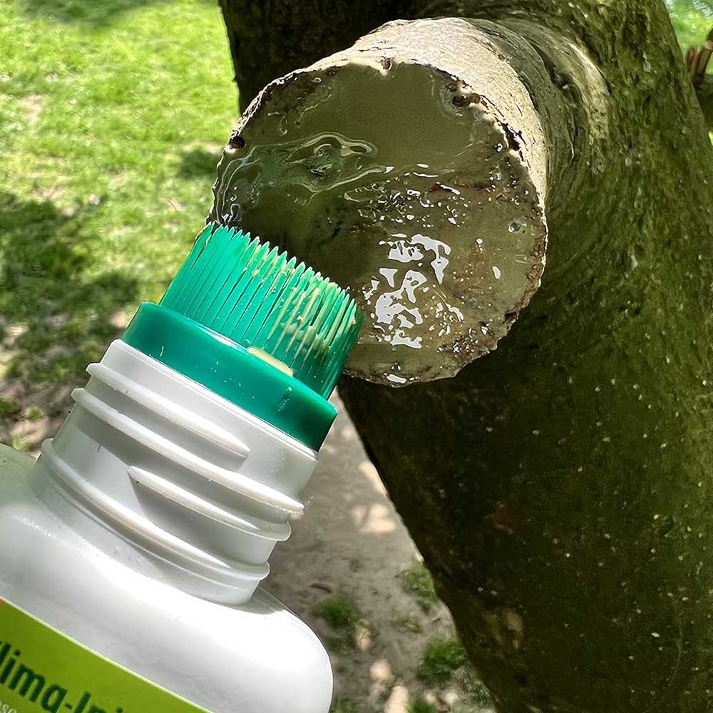 Mastic pentru sigilarea ranilor la Pomi Fructiferi si Ornamentali, Tub cu Pensula 300 g, Prindere Rapida, SOLABIOL