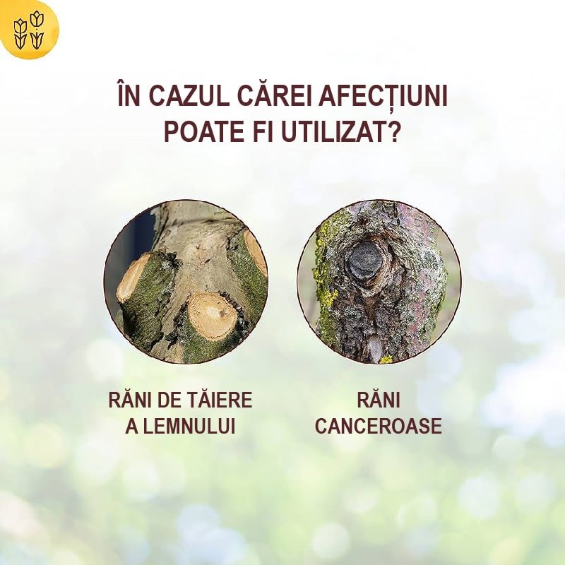 Mastic pentru sigilarea ranilor la Pomi Fructiferi si Ornamentali, Tub cu Pensula 300 g, Prindere Rapida, SOLABIOL