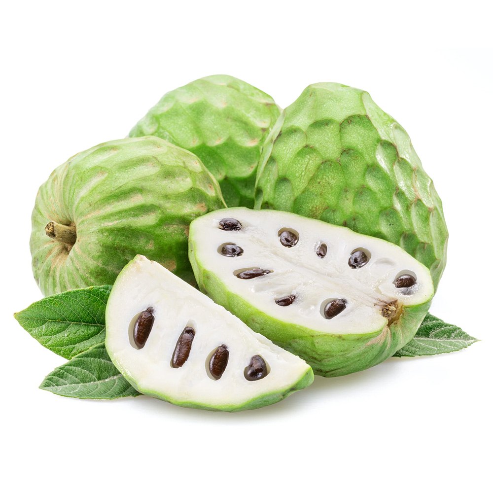 Cherimoya Annona cherimola in ghiveci – pom fructifer exotic cu fructe dulci cremoase
