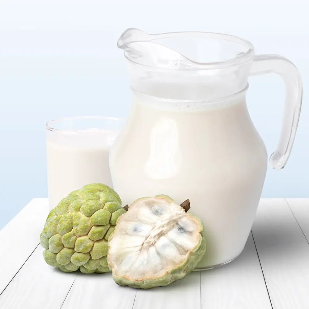 Cherimoya Annona cherimola in ghiveci – pom fructifer exotic cu fructe dulci cremoase