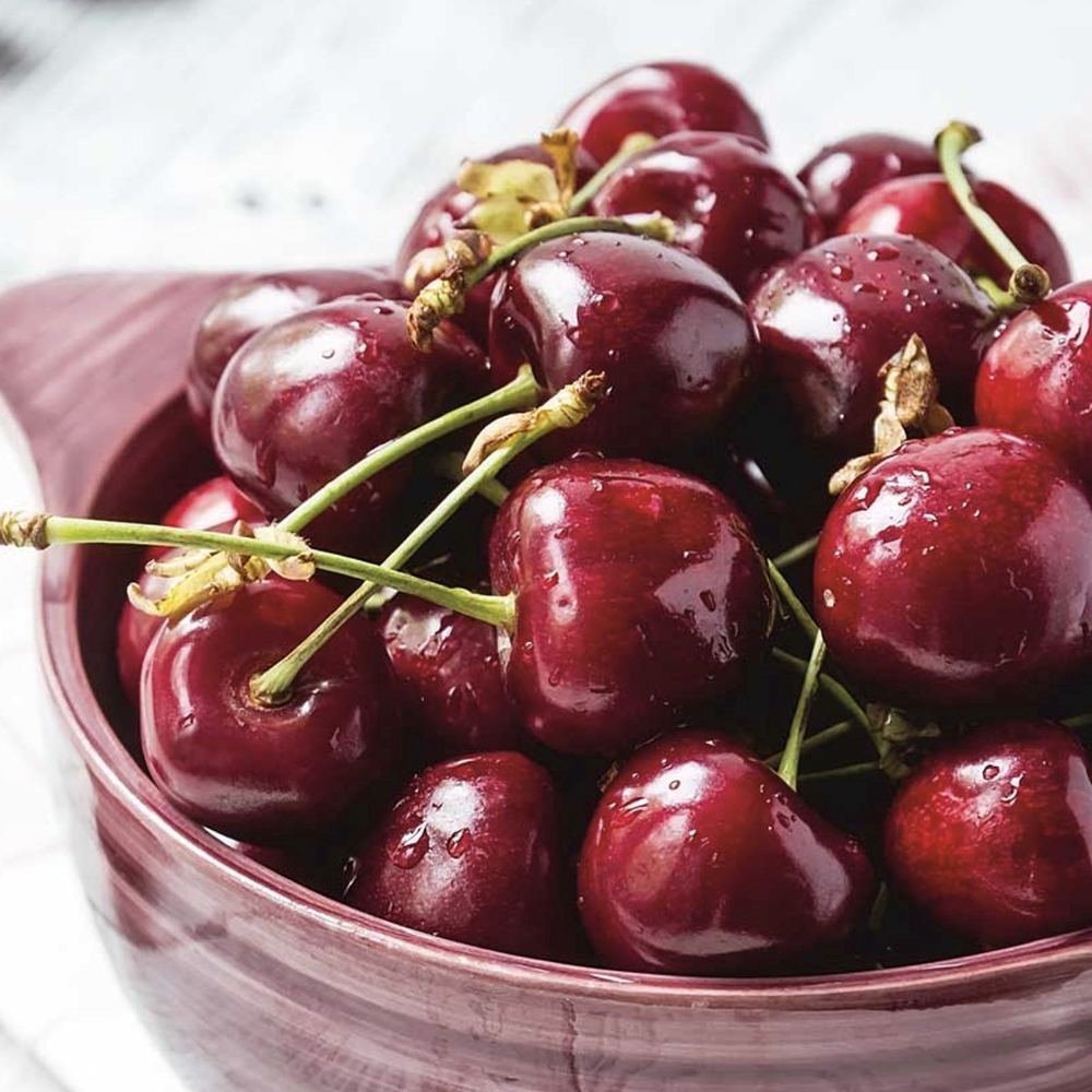 Visin (Prunus Cerasus) Morello, cu fructe acrisoare rosu inchis