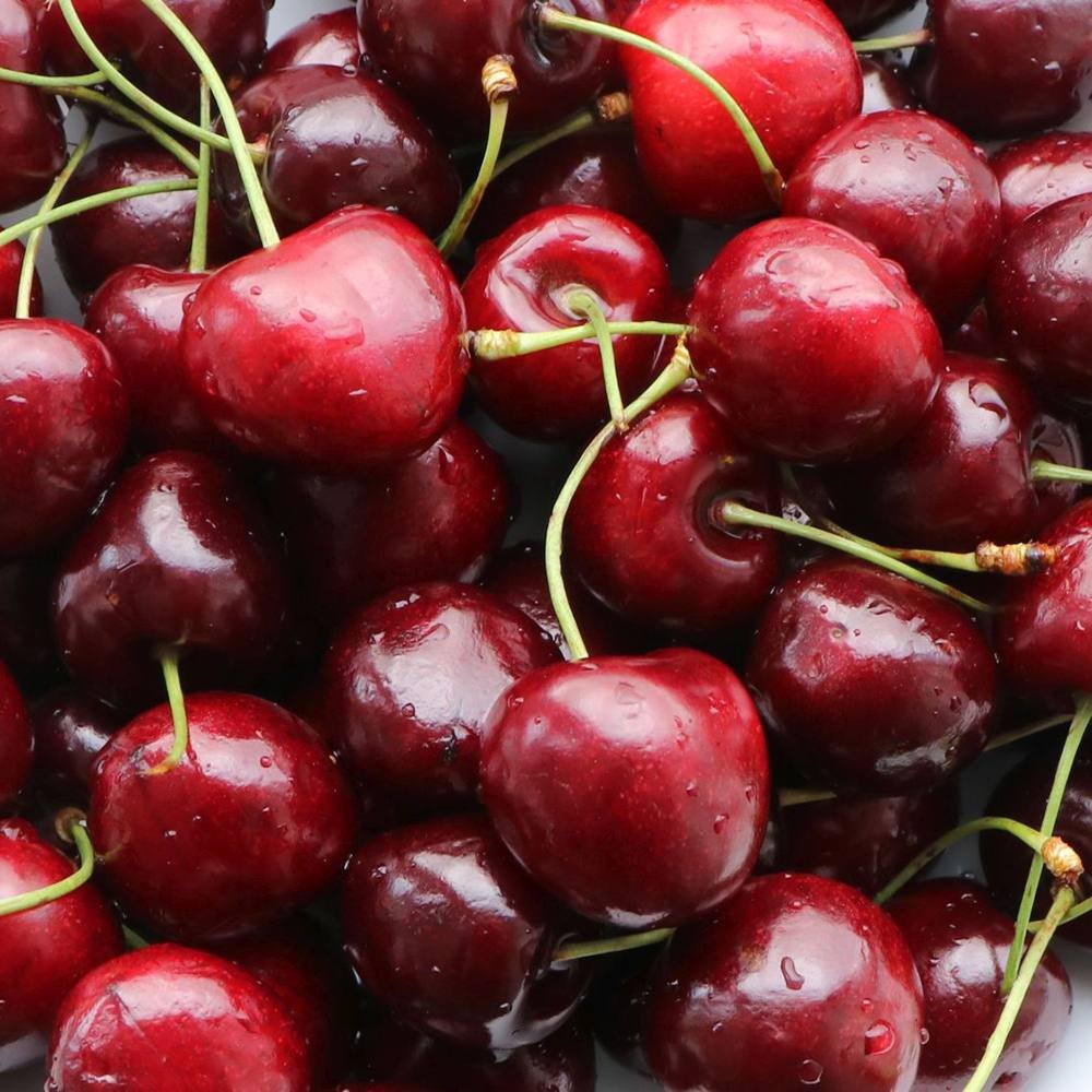 Cires (Prunus Avium) Sunburst, cu fructe dulci rosu inchis