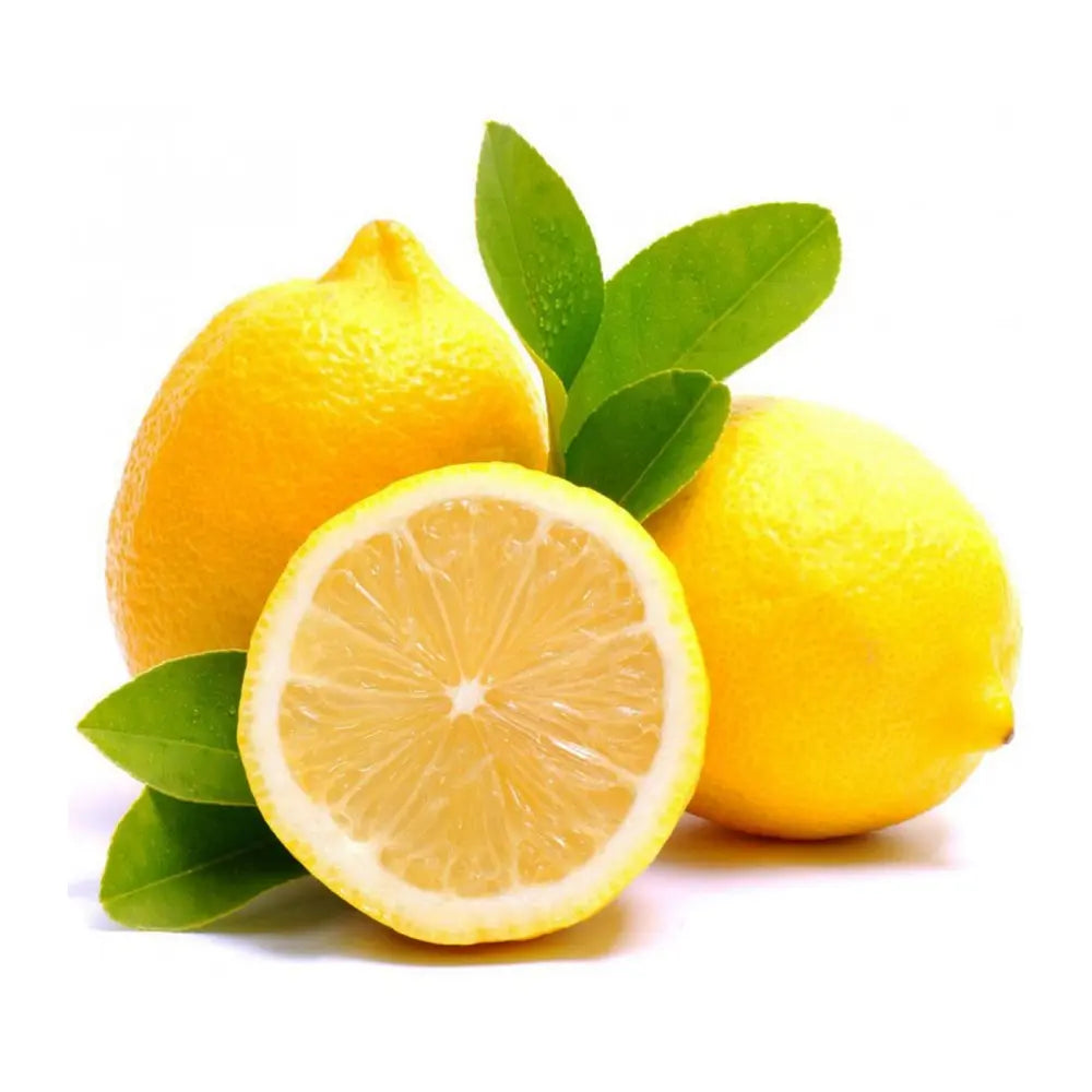 Pom Lamai (Citrus Limon) Di Sorrento, 110 cm, cu fructe mari galbene si parfumate, an 2 pe rod