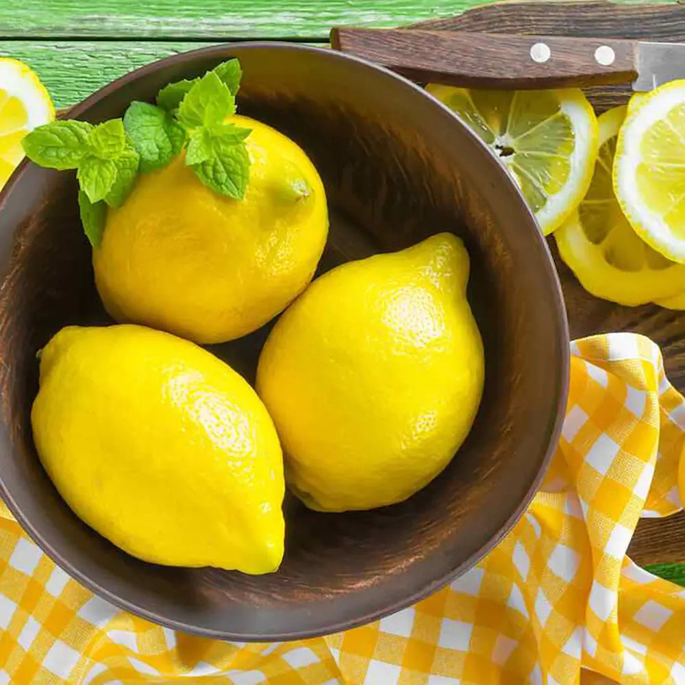 Pom Lamai (Citrus Limon) Monachello, 100-110 cm, cu fructe mari galbene intens parfumate, an 2 pe rod