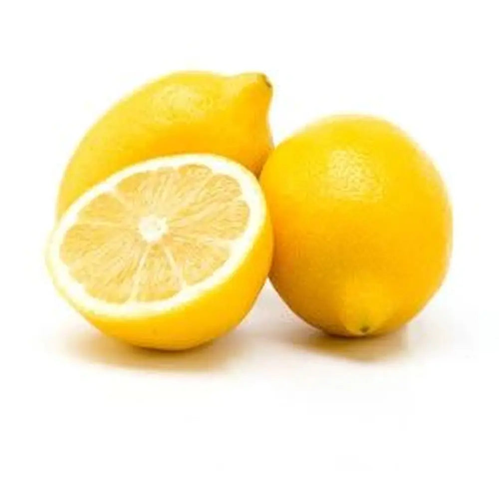Pom Lamai (Citrus Limon) Verna, 110 cm, cu fructe mari galbene zemoase, an 2 pe rod