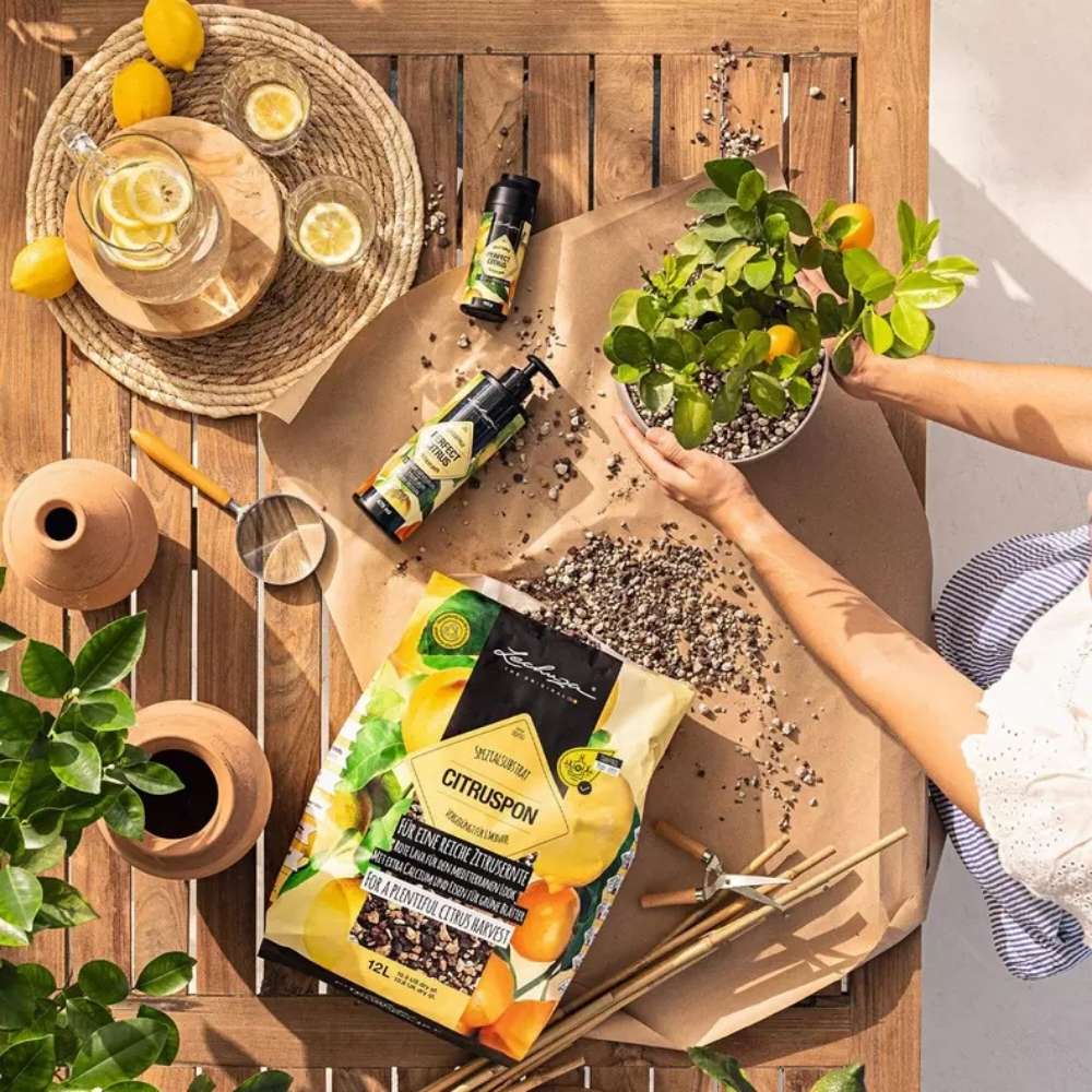 Substrat Mineral LECHUZA Citruspon 25 l, pentru citrice, 100% fara turba, cu ingrediente naturale