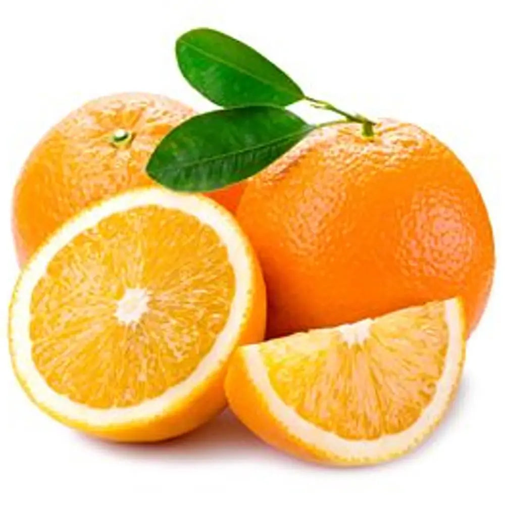 Portocal Washington Navel (Citrus sinensis), cu fructe dulci portocalii fara seminte, an 2 pe rod