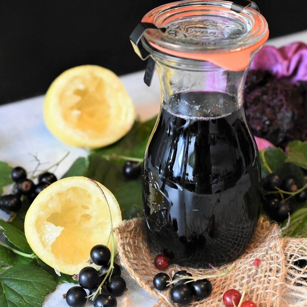 Coacaz negru Titania (Ribes), cu fructe negre dulci-acrisoare