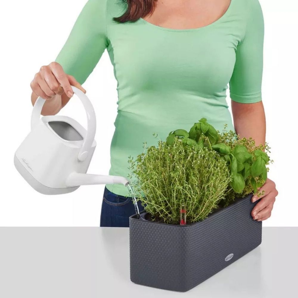 Ghiveci Auto-Irigant Lechuza Cube Color Triple, alb tip ratan, pentru plante cu ghiveci, sistem de autoirigare, include bracket asortat