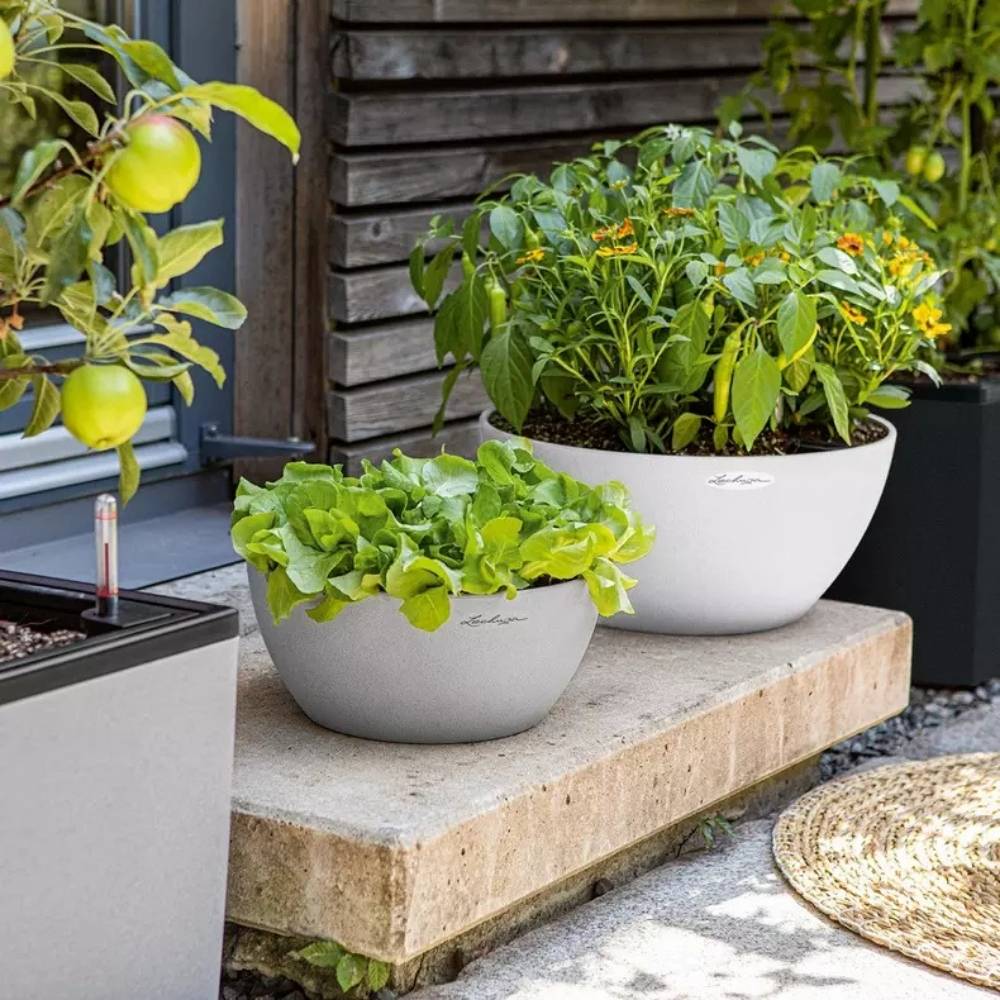 Ghiveci Auto-Irigant Lechuza Cubeto Stone 40 11,5 l, efect piatra gri, sistem de autoirigare, insert detasabil, strat de drenaj