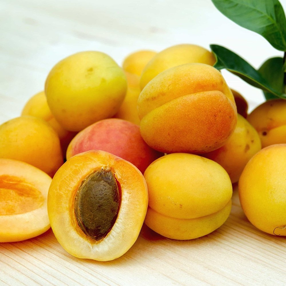 Duo Cais si Piersic 'Duo Perzik-Abrikoos', cu fructe dulci galbene- rosiatice