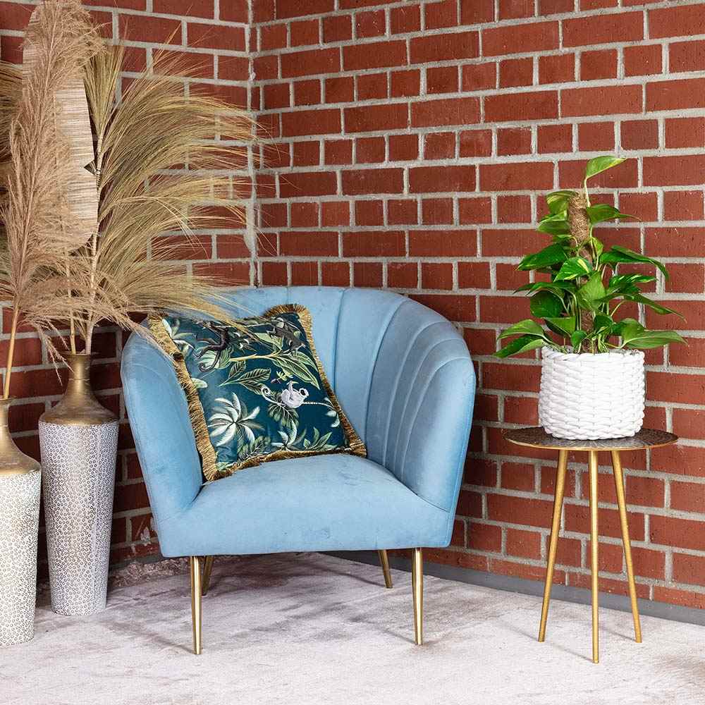 Iedera diavolului Epipremnum Aureum, 120 cm cu Suport, planta de apartament curgatoare, cu frunze pestrite verzi-galbene