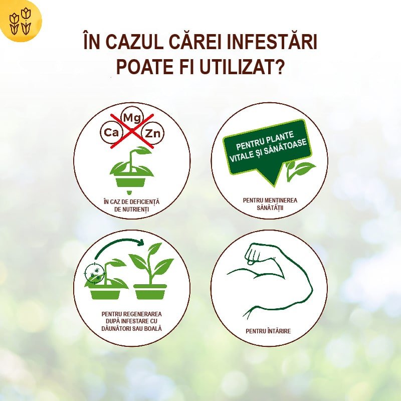 Extract de Urzica pentru Plante, 1l, SOLABIOL