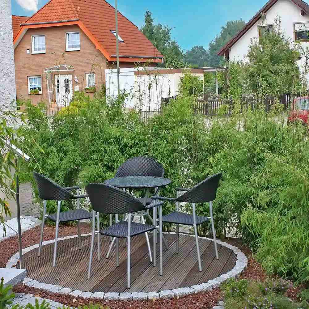 Bambus de gradina (Fargesia Rufa) Jiuzhaigoul, neinvaziv, rezistent la frig, gard viu vesnic verde, simbol de protectie si integritate