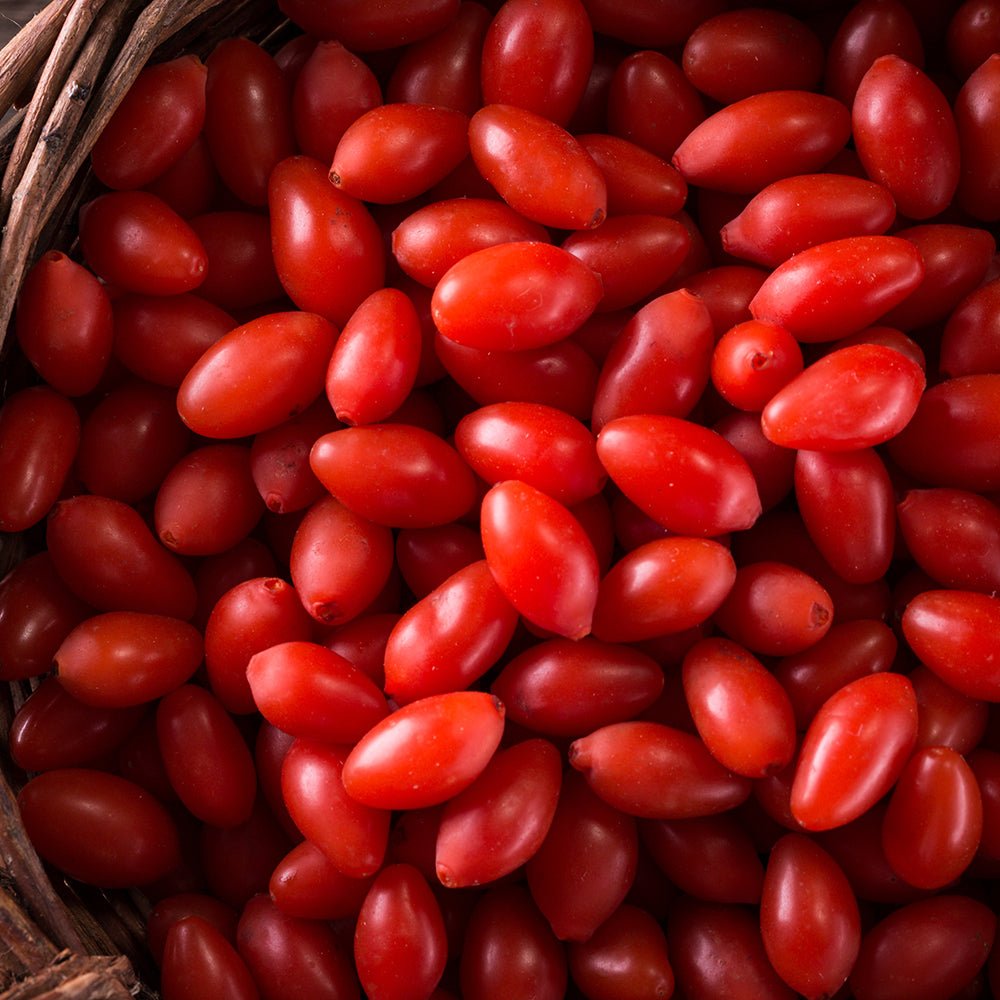 Fructifer Goji (Lycium Barbarum), cu fructe dulci-acrisor rosii