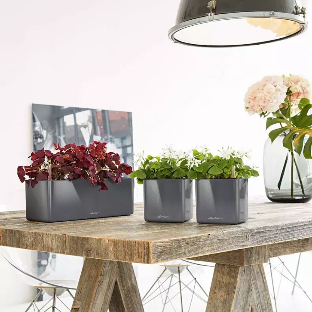 Ghiveci Auto-Irigant Lechuza Cube Glossy Triple, gri lucios, pentru plante cu ghiveci, sistem de autoirigare, insert detasabil, strat de drenaj