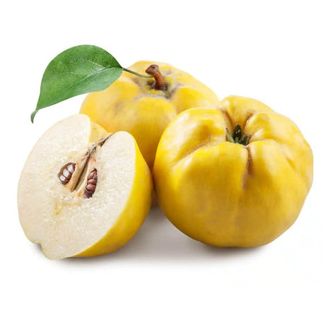 Gutui (Cydonia oblonga), cu fructe amarui - VERDENA-Livrat in ghiveci de 5 l