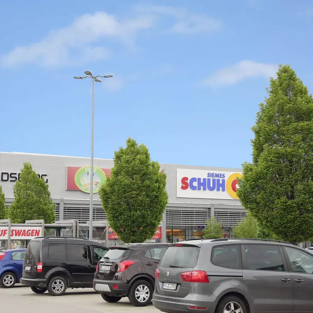 Carpen Columnar Frans Fontaine (Carpinus Betulus), carpen columnar, aspect arhitectural, coroana compacta, gradini moderne