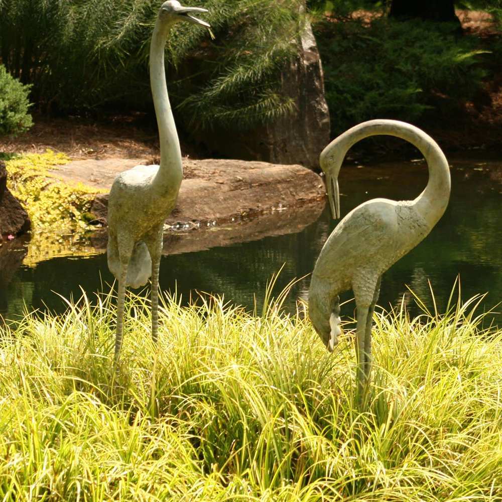 Iarba Ornamentala Asiatica Ogon (Acorus Gramineus)