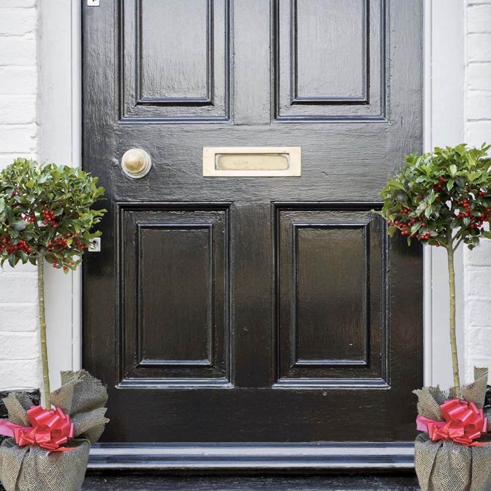 Ilex Blue Maid Copacel, frunzis verde-inchis, vesnic verde, fructe rosii decorative, decor iarna