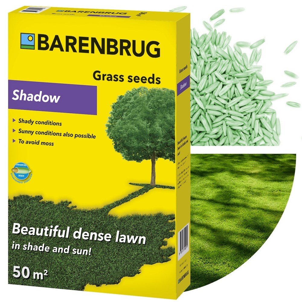 Seminte gazon Shadow Barenbrug 1 kg, gazon dens pentru zone umbroase si variate conditii, pentru 50 mp