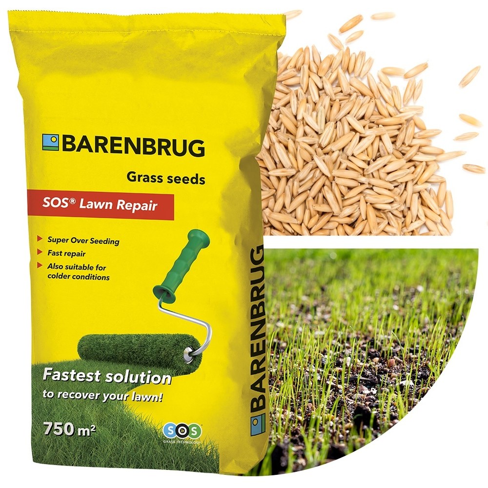 Seminte gazon SOS Lawn Repair Barenbrug 5 kg, refacere rapida si suprainsamantare eficienta, pentru 250 mp