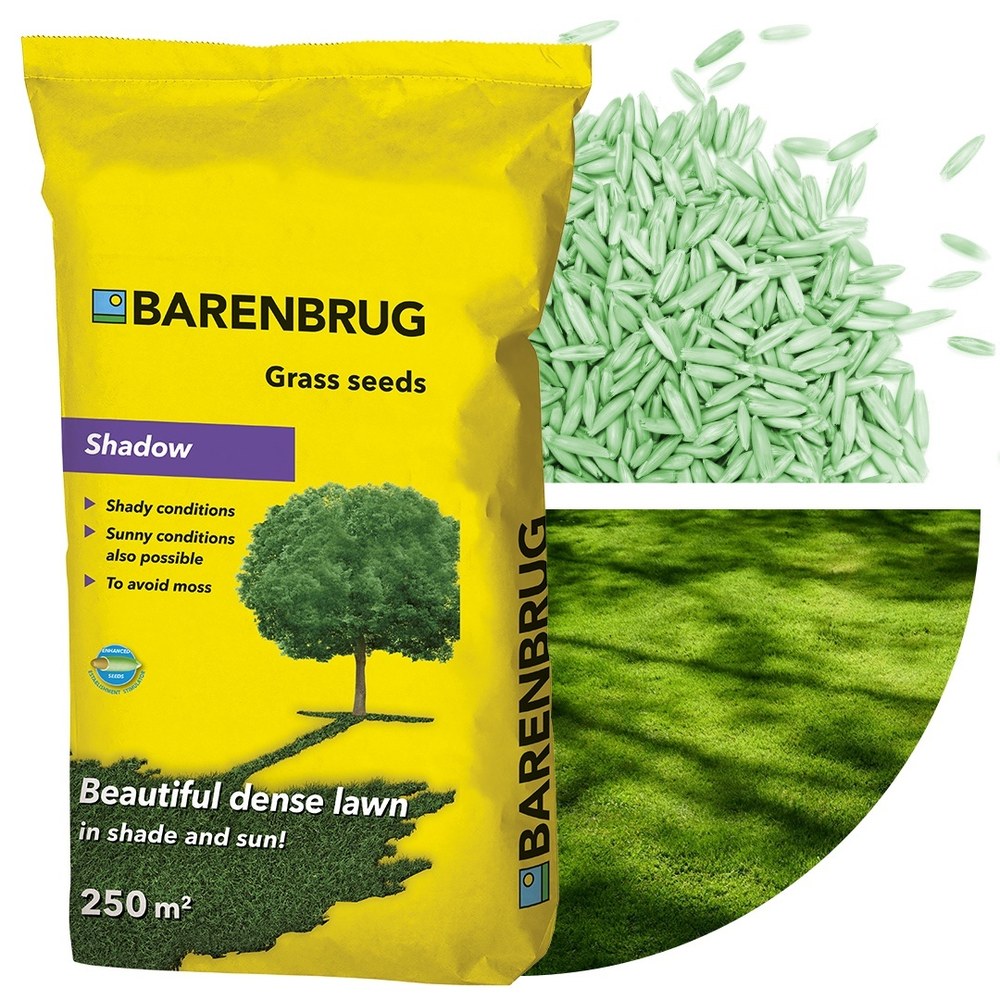 Seminte gazon Shadow Barenbrug 5 kg, gazon dens pentru zone umbroase si variate conditii, pentru 250 mp