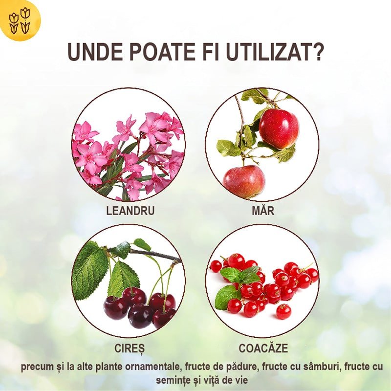 Insecticid Bio pentru Combaterea Daunatorilor Iernatori pentru Pomii Fructiferi si Ornamentali, 500 ml, SOLABIOL