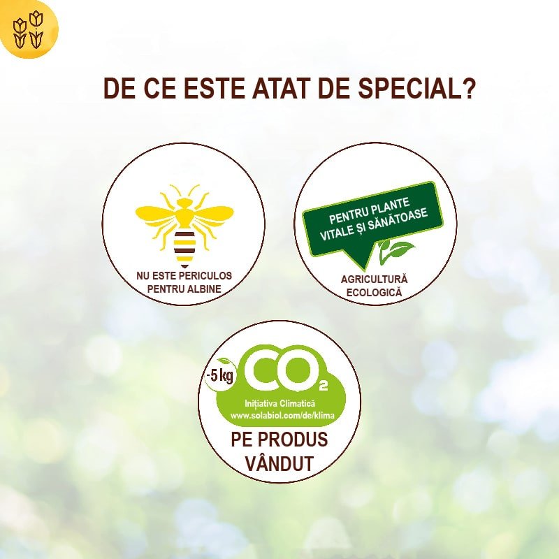 Insecticid Bio pentru Combaterea Daunatorilor Iernatori pentru Pomii Fructiferi si Ornamentali, 500 ml, SOLABIOL