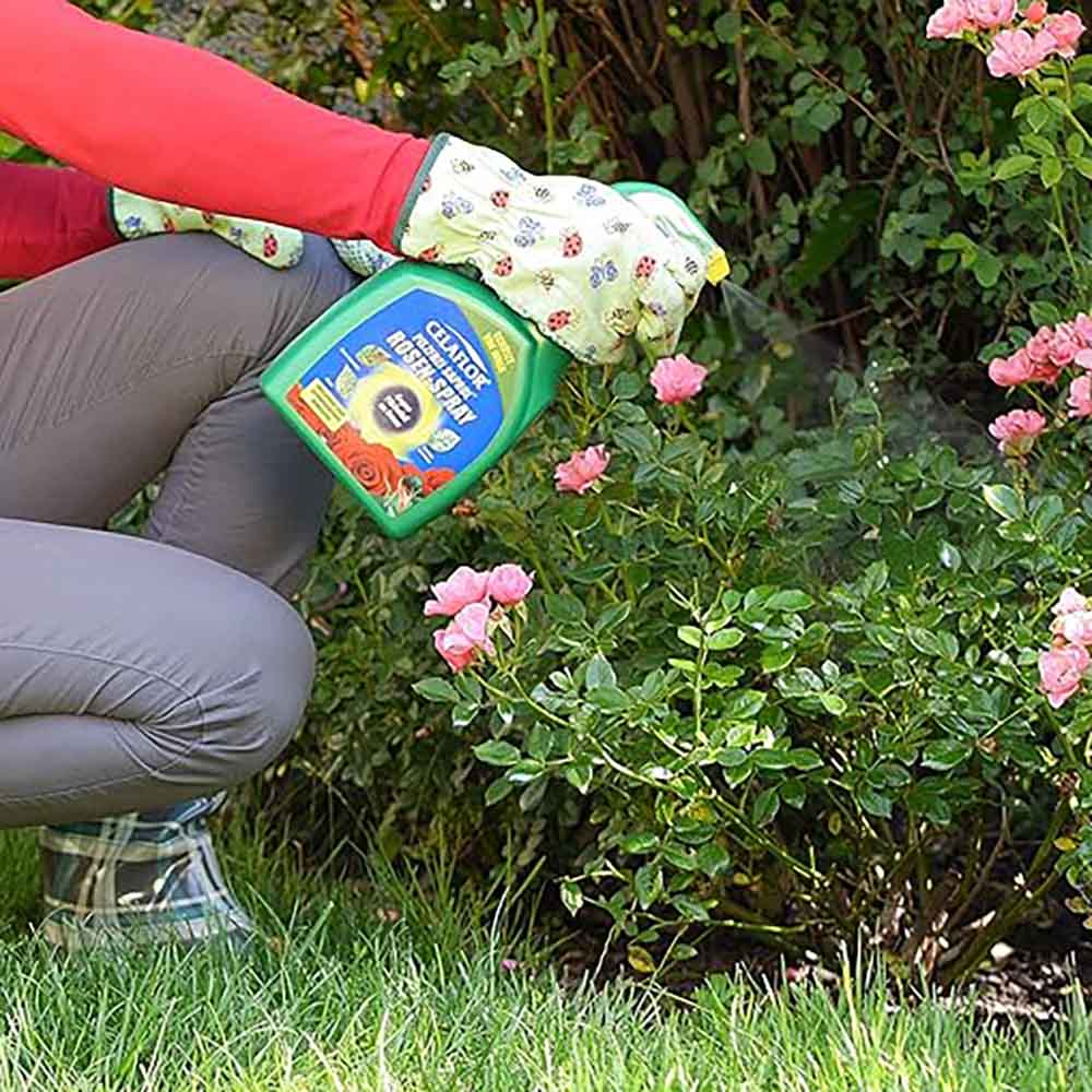 Insecticid Lichid de Ciuperci pentru Trandafiri, 750 ml, Contra Boli Fungice precum Rugina, Mucegaiul si Pete Negre, CELAFLOR