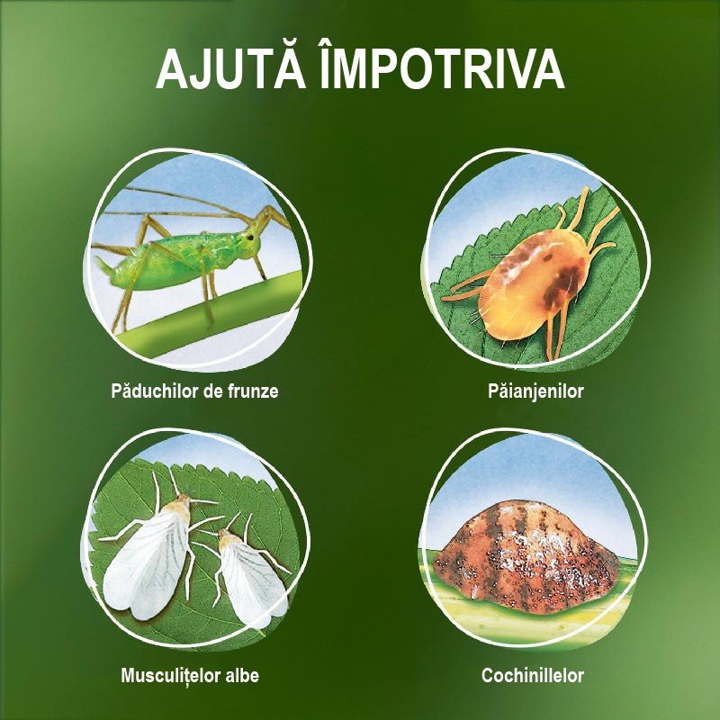 Insecticid Organic pentru plante Ornamentale contra Afidelor, 750 ml, COMPO