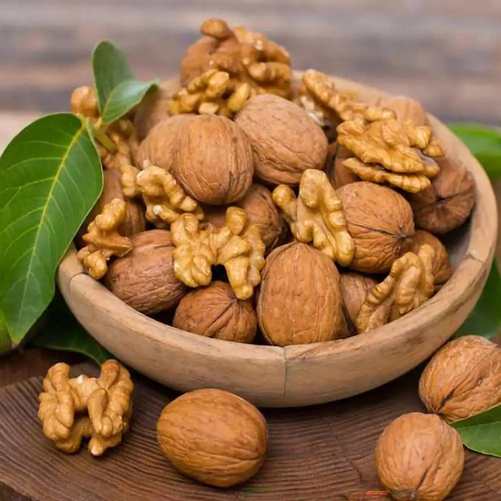 Nuc Regia Hartley (Juglans Regia), cu gust dulce-untos, an 2 pe rod