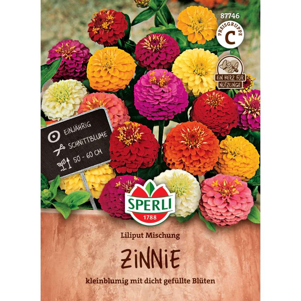 Seminte Zinnia pitice Liliput – inflorire bogata si compacta