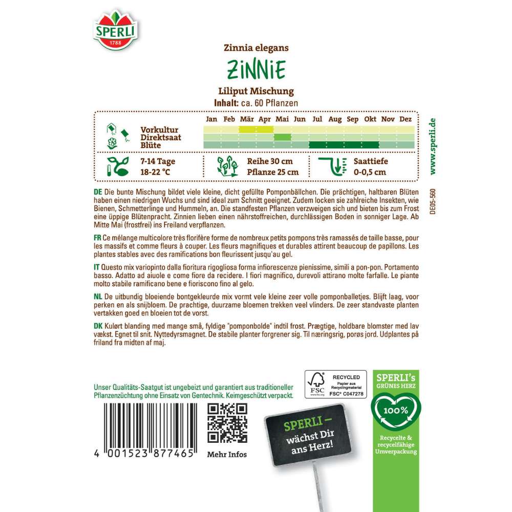 Seminte Zinnia pitice Liliput – inflorire bogata si compacta