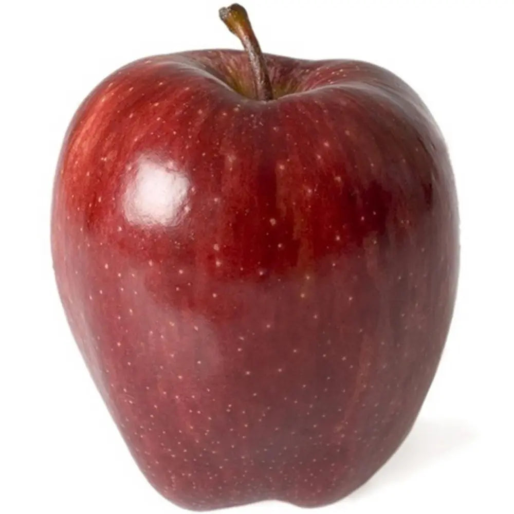 Mar (Malus) Starking, cu fructe rosii dulci-acrisor, an 3 pe rod